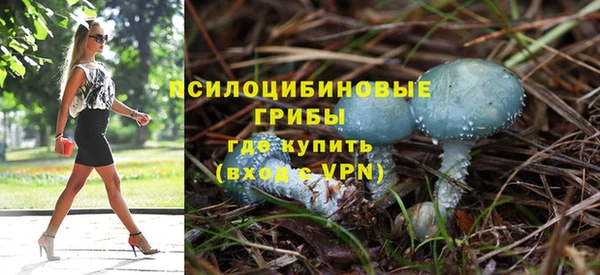 винт Аркадак