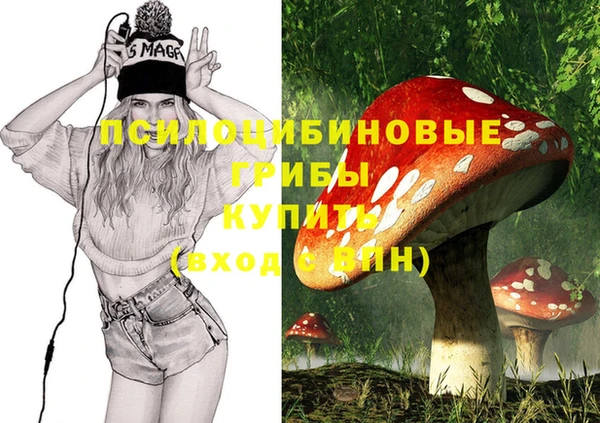винт Аркадак