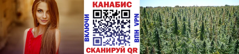 МАРИХУАНА THC 21%  Полесск 